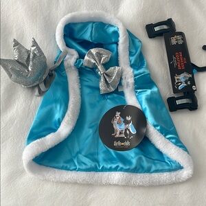 Blue and Silver Pet Costume with Crown